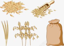 糙米杂粮和糙米高清图片