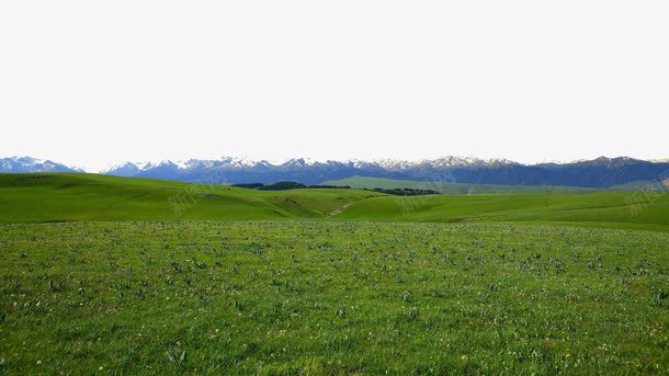 新疆喀拉峻草原十五psd免抠素材_新图网 https://ixintu.com 名胜古迹 旅游风景 著名建筑