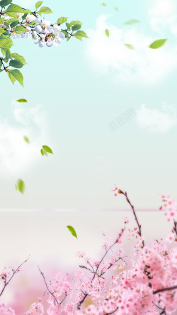 东湖樱花2017武汉东湖樱花节H5清新背景高清图片