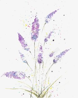 水墨紫色的花水墨清新淡雅薰衣草高清图片