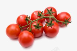 新鲜小番茄新鲜小番茄高清图片