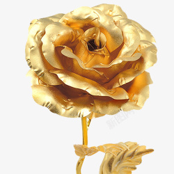 质感玫瑰花金色精致装饰花卉高清图片