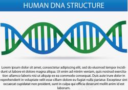 DNA结构示意图素材