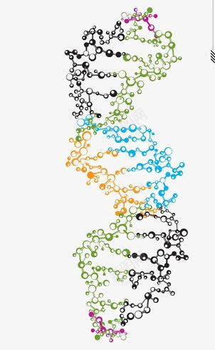 DNA链断裂png免抠素材_新图网 https://ixintu.com DNA DNA双螺旋结构图片 分子 生物 遗传学