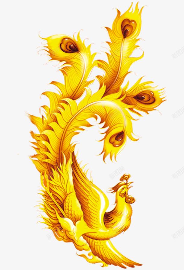 金黄色的孔雀png免抠素材_新图网 https://ixintu.com 一只 卡通 孔雀 手绘 简图 美丽 羽毛 金黄色的