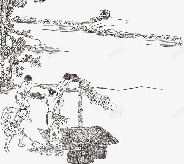 古代农作png免抠素材_新图网 https://ixintu.com 工作 干活 线条 谷物 黑白