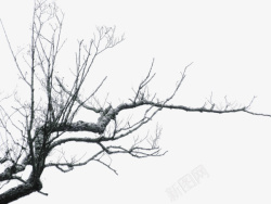 冬季枯树冬季枯树枝元素高清图片