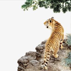 老虎背影山崖上的老虎高清图片