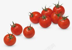 红色小番茄圣女果高清图片