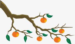 橙子树枝素材