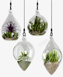 植物造型悬挂玻璃瓶吊篮花高清图片