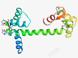 蛋白质的结构蛋白质分子模型高清图片