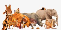 保护野生动物可爱野生动物集合装饰图案高清图片