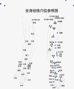 全身穴位矢量图素材