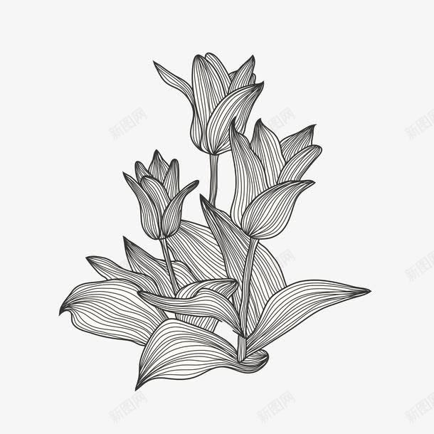 手绘水仙图标png_新图网 https://ixintu.com 图标 手绘 手绘水仙 植物 水仙 色彩 花朵 装饰 黑白