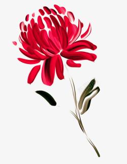 彩绘红色的菊花图素材