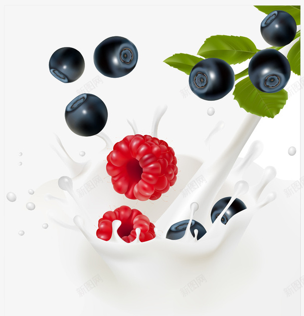 水果食物png免抠素材_新图网 https://ixintu.com 喷溅 奶水 树叶 树莓 蓝莓