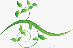 卷曲藤蔓大自然绿色藤蔓高清图片