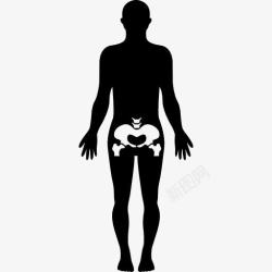 人体成分臀部人体部分图标高清图片