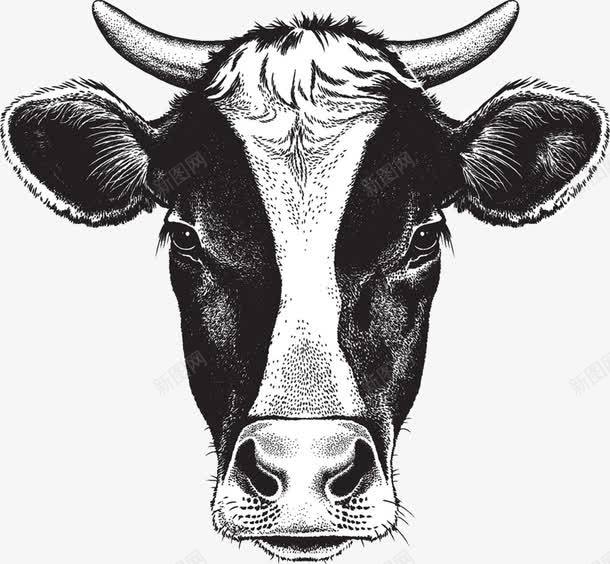 手绘牛头png免抠素材_新图网 https://ixintu.com 元素 手绘 牛头 牛头像 黑白 黑白牛头