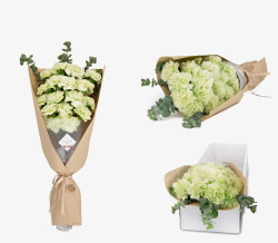 好看的盒子淡绿色的菊花高清图片