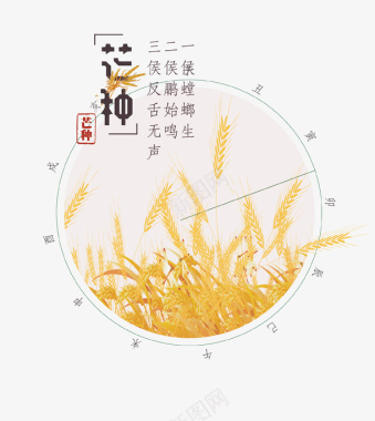 金黄色清新创意谷雨图标图标