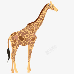 动物园的长颈鹿卡通大自然里的动物矢量图高清图片