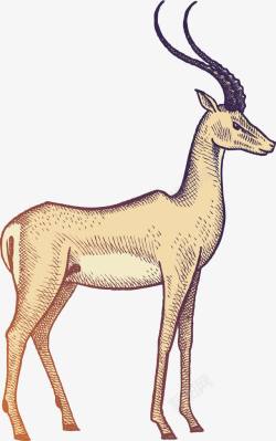 麋鹿头手绘素描动物羚羊插画高清图片
