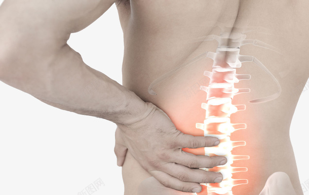 医学研究的脊椎图png免抠素材_新图网 https://ixintu.com 健康 准确图 医学研究 对人的重要性 男性 背部脊椎 防疾病