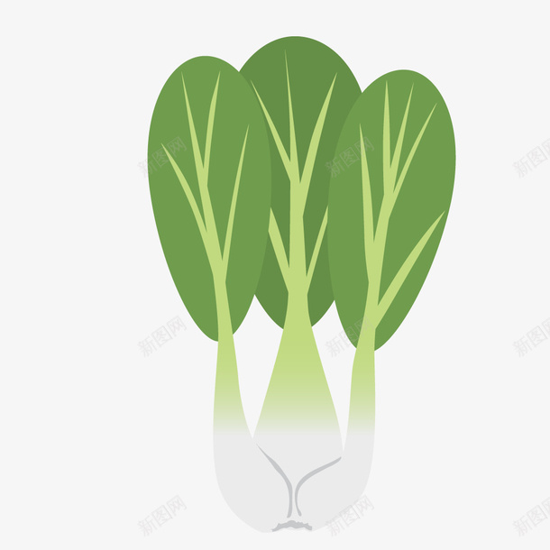 绿色卡通油菜蔬菜png免抠素材_新图网 https://ixintu.com 卡通蔬菜 手绘蔬菜 油菜 绿色蔬菜 菜类图片 菜胆 蔬菜 青菜