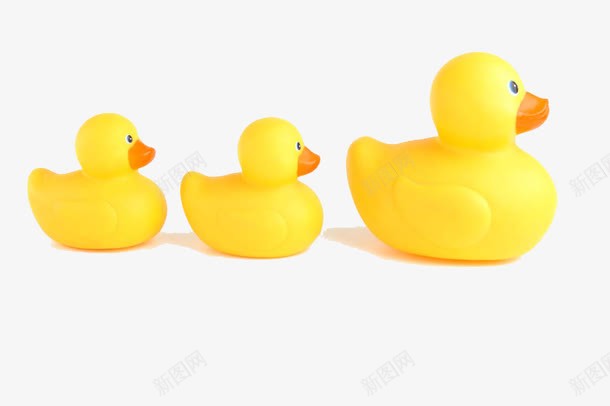 三只小黄鸭png免抠素材_新图网 https://ixintu.com 动物玩具 卡通动物 玩具鸭子