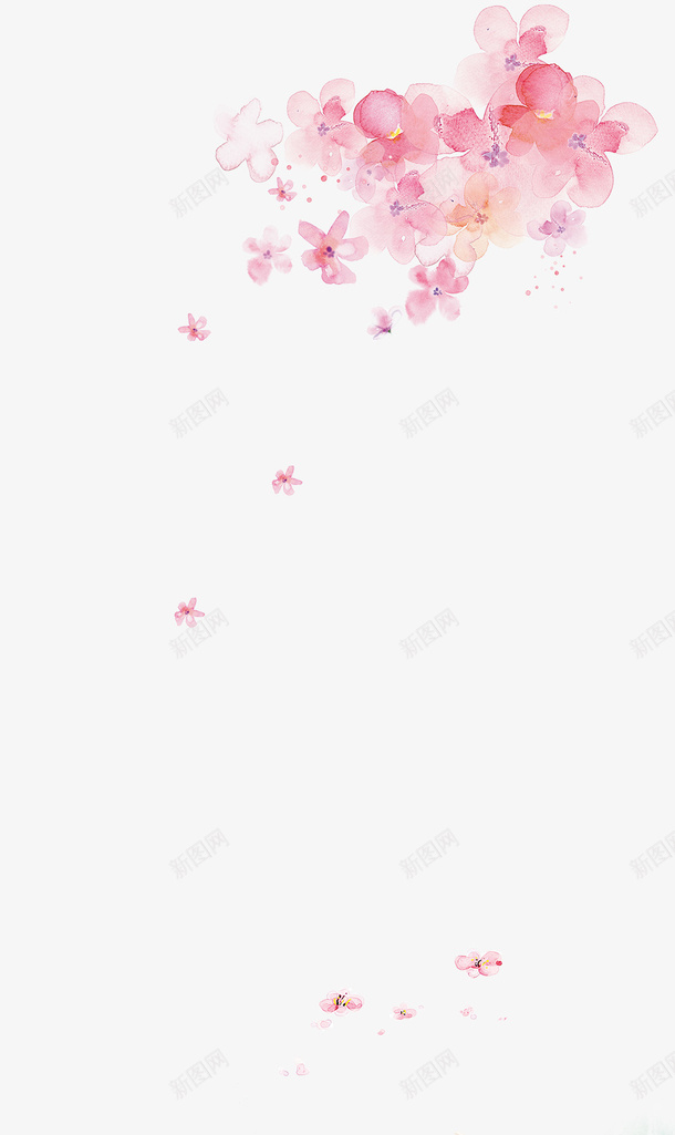 白色透明鲜花漂亮红色png免抠素材_新图网 https://ixintu.com 漂亮 白色 透明 鲜花