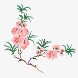 手绘春季樱花插画素材