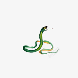 绿蛇中国风水墨绿蛇高清图片