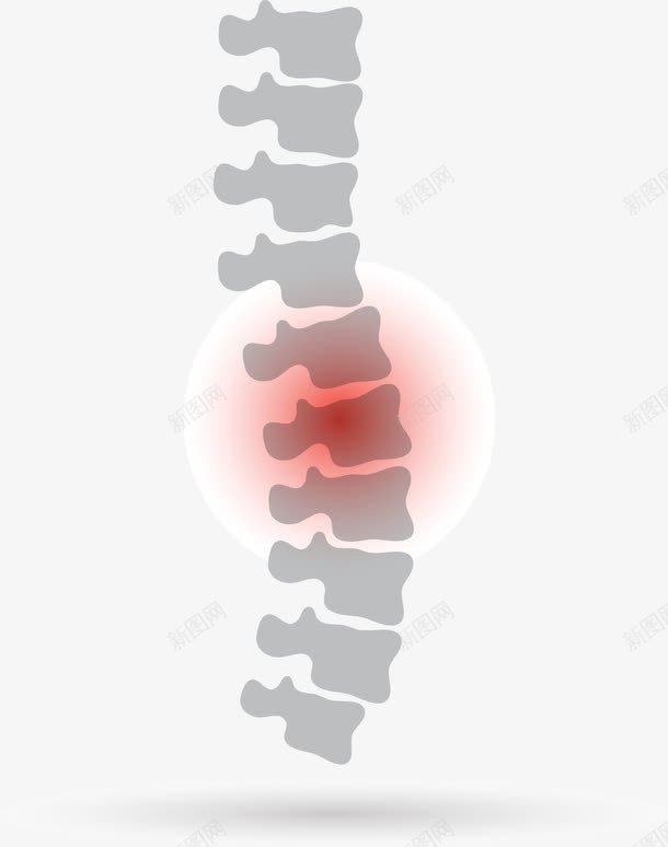 脊椎png免抠素材_新图网 https://ixintu.com 健康 脊椎