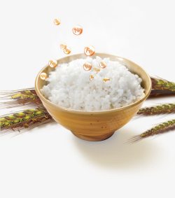 大米的营养成分素材