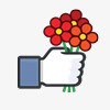 flowers收藏夹花幸福心像爱脸谱网喜欢高清图片