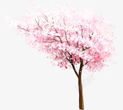 粉色樱花美景大树素材