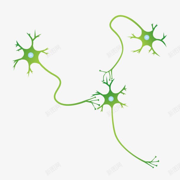 卡通神经细胞png免抠素材_新图网 https://ixintu.com 中枢神经 卡通细胞 生物学 生物实验 神经元 神经细胞