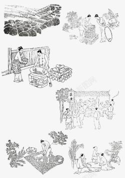 白菜线描画古代制茶工艺线描画高清图片