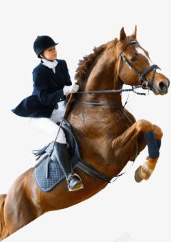 摄影骑马运动员素材