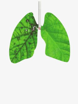 绿色肺部禁烟日公益广告肺部与香烟绿色高清图片