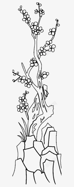 文字描边生长岩石丛上生长的梅花树简笔画高清图片