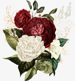 手绘梦幻玫瑰花卉植物素材