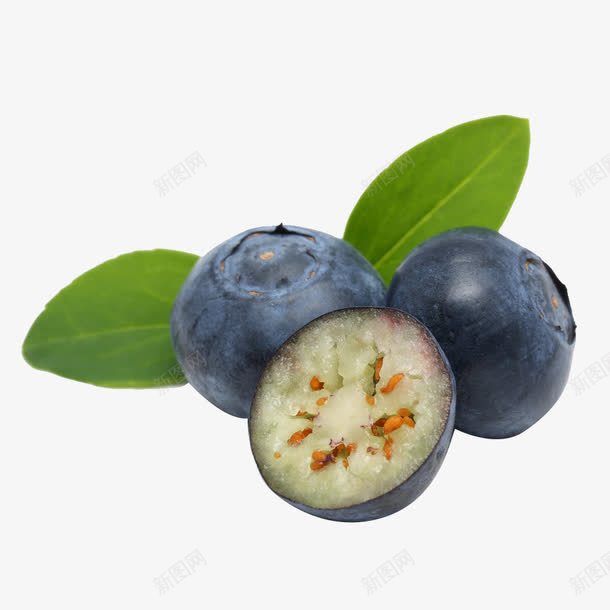 切开的美味蓝莓png免抠素材_新图网 https://ixintu.com 一半 切开 叶子 对半 蓝色的 蓝莓