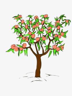 果实树卡通桃树高清图片