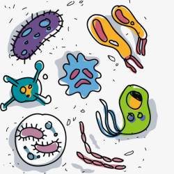 医疗观察艺术虫子病菌高清图片