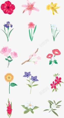 花集合平面绘画花卉高清图片