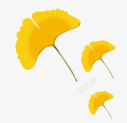 黄色手绘枫叶秋分宣传素材