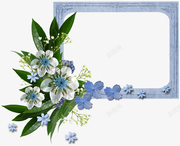 花朵相框png免抠素材_新图网 https://ixintu.com png大图 免扣 免扣png图片 相框 相框图片 相框素材 花叶 花朵